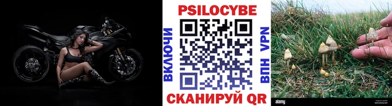 купить наркотик Череповец Псилоцибиновые грибы мицелий